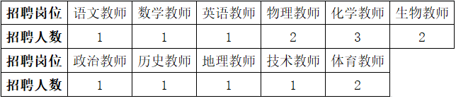 南京市中華中學(xué)2022年公開招聘編制外教師公告