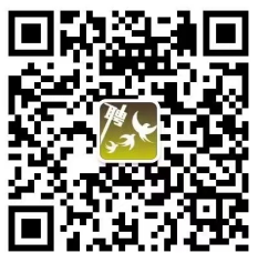 報(bào)名方式