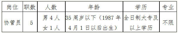 招聘崗位、職數及條件 
